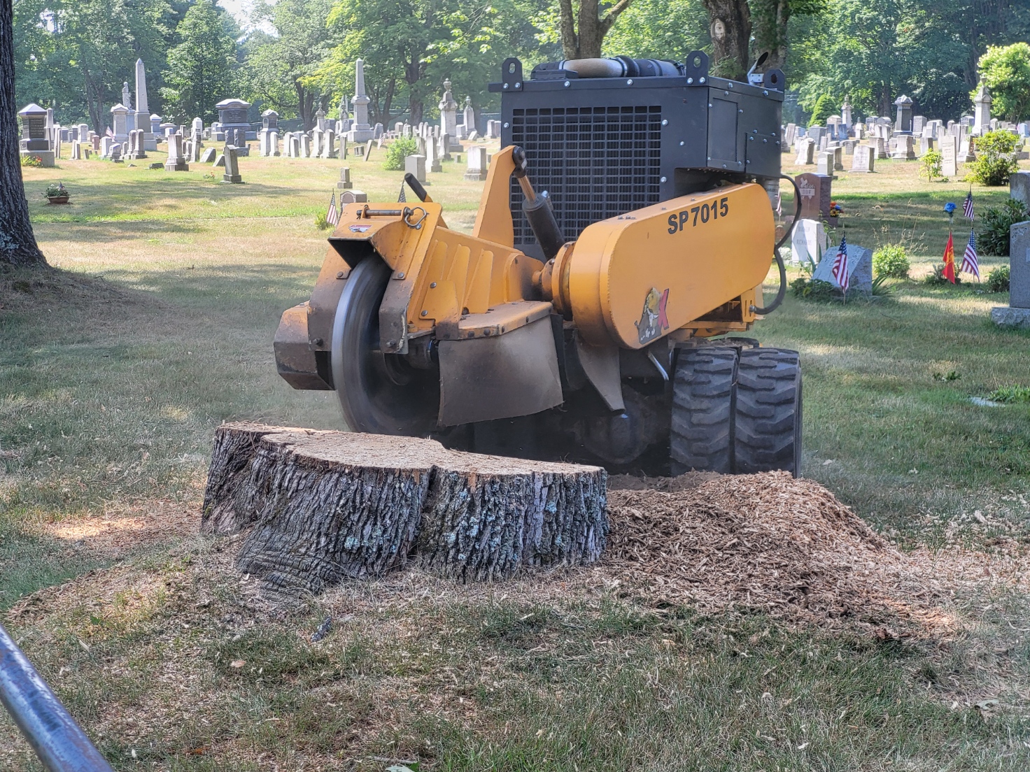 Maineland Stump Grinding Image