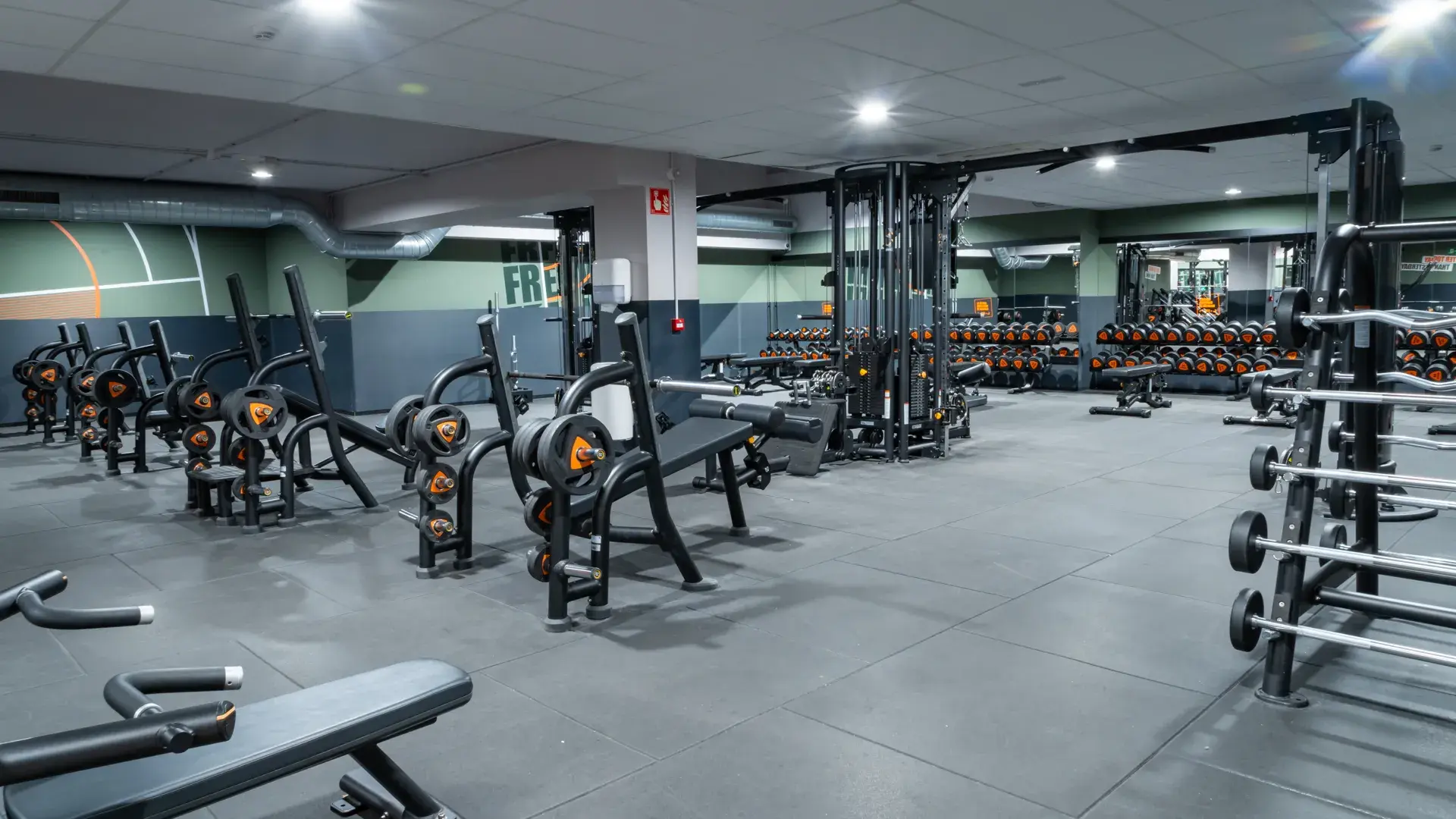 Galería de imágenes