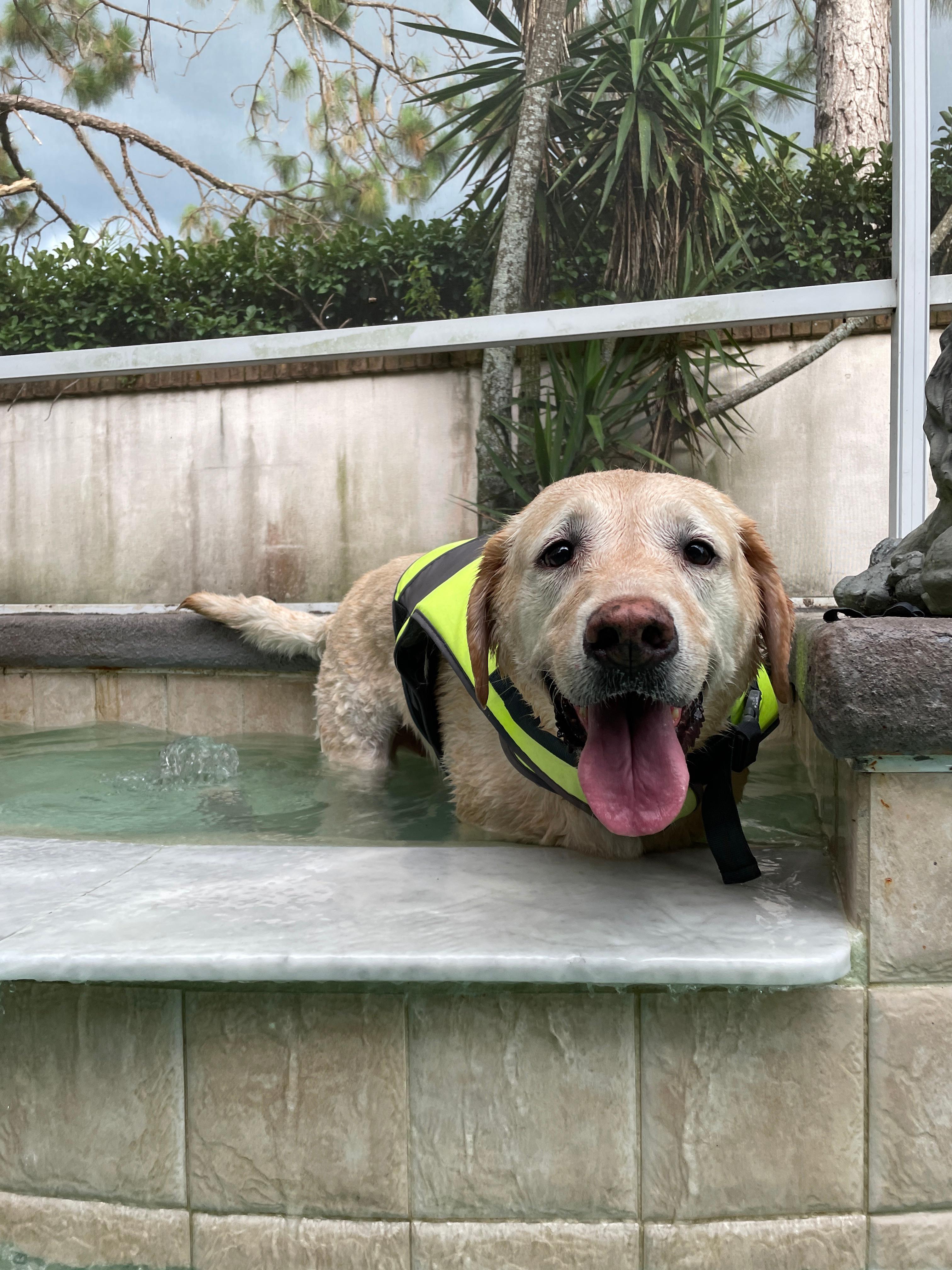 Woofie’s® of Lutz