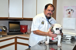Eastlake Veterinary Services Photo