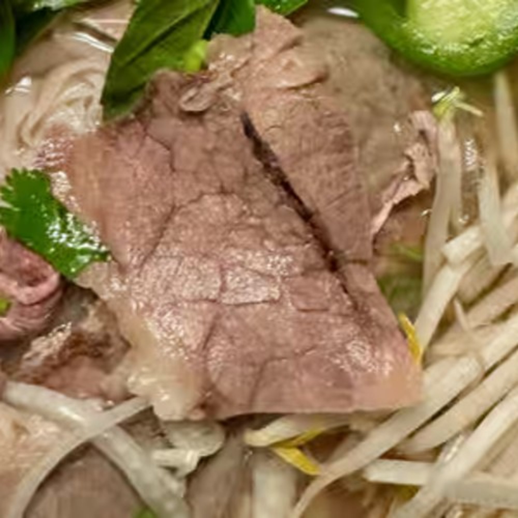 Pho Saigon Special