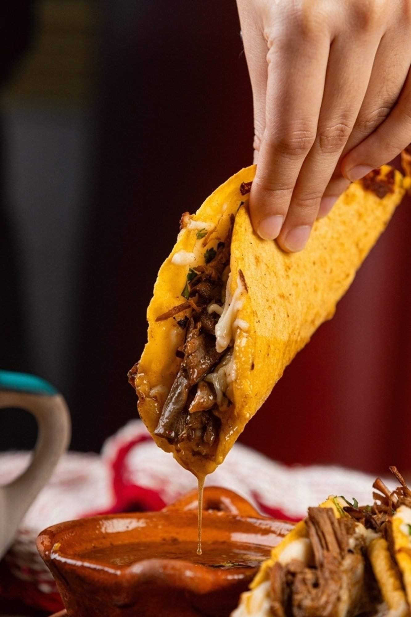 Quesabirria Tacos