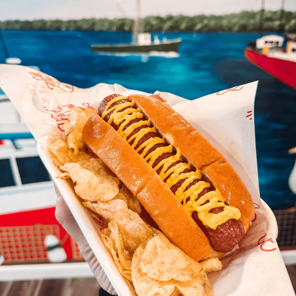 Hot Dog & Chips