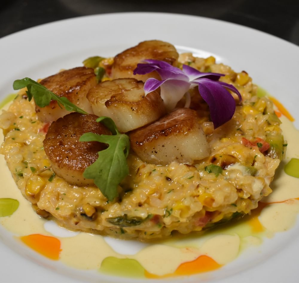 Pan Seared Sea Scallops