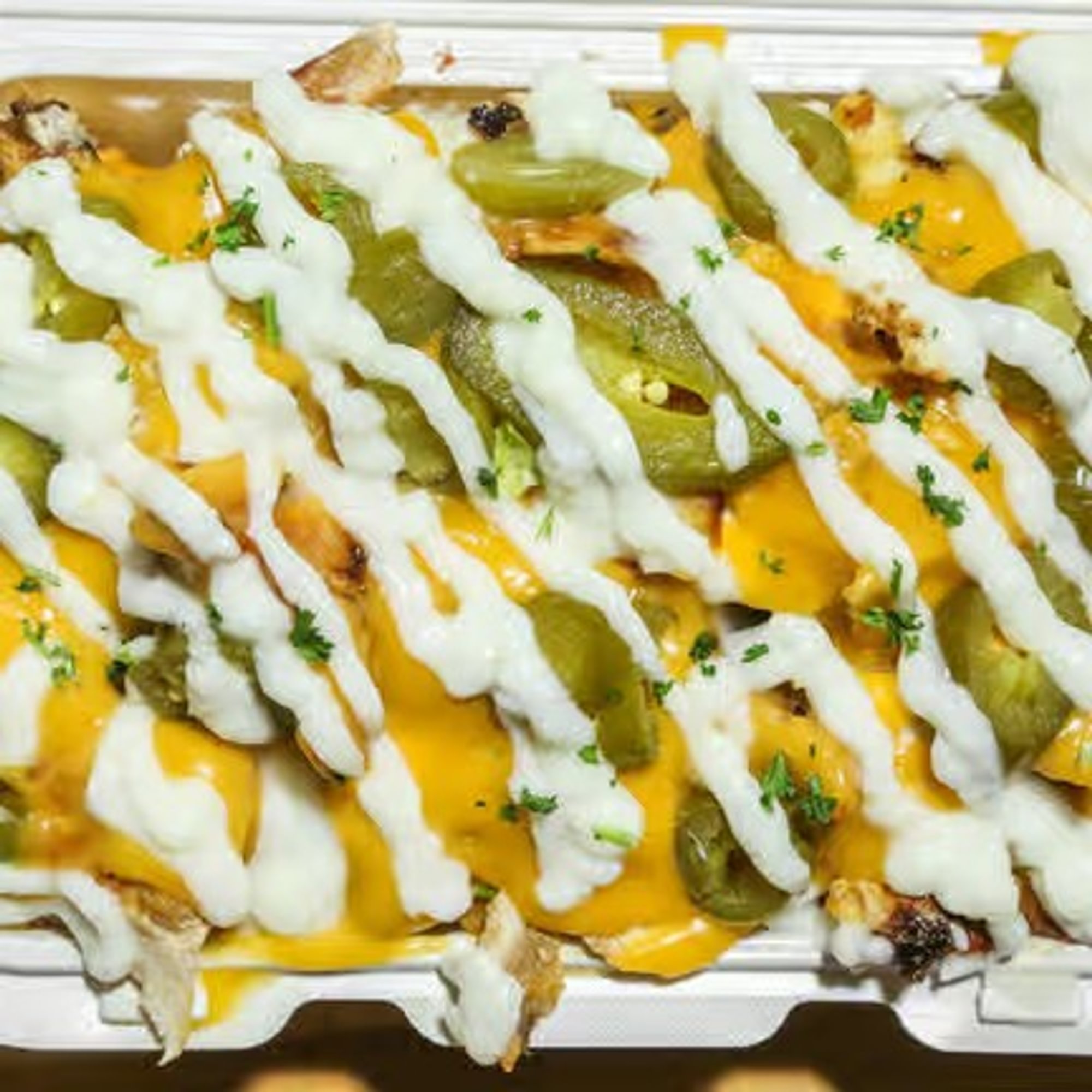 Loaded Fries Plate