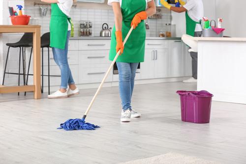 DG Cleaning & Carpet Care LLC Photo