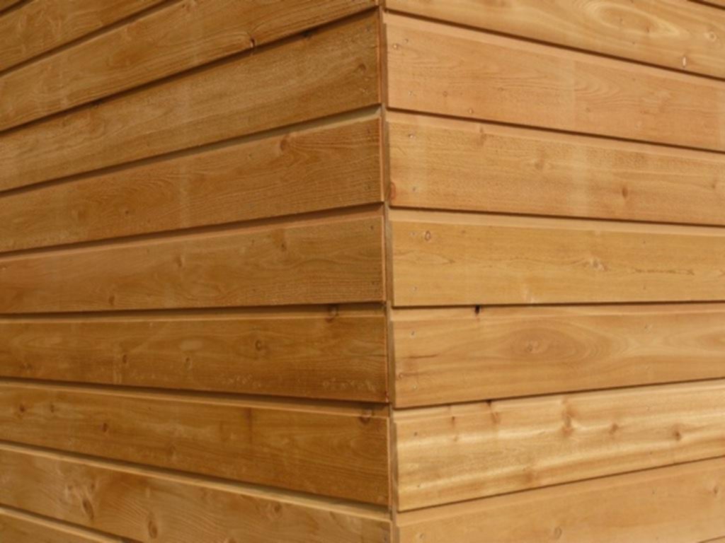 ¾x8 Cedar Bevel Siding