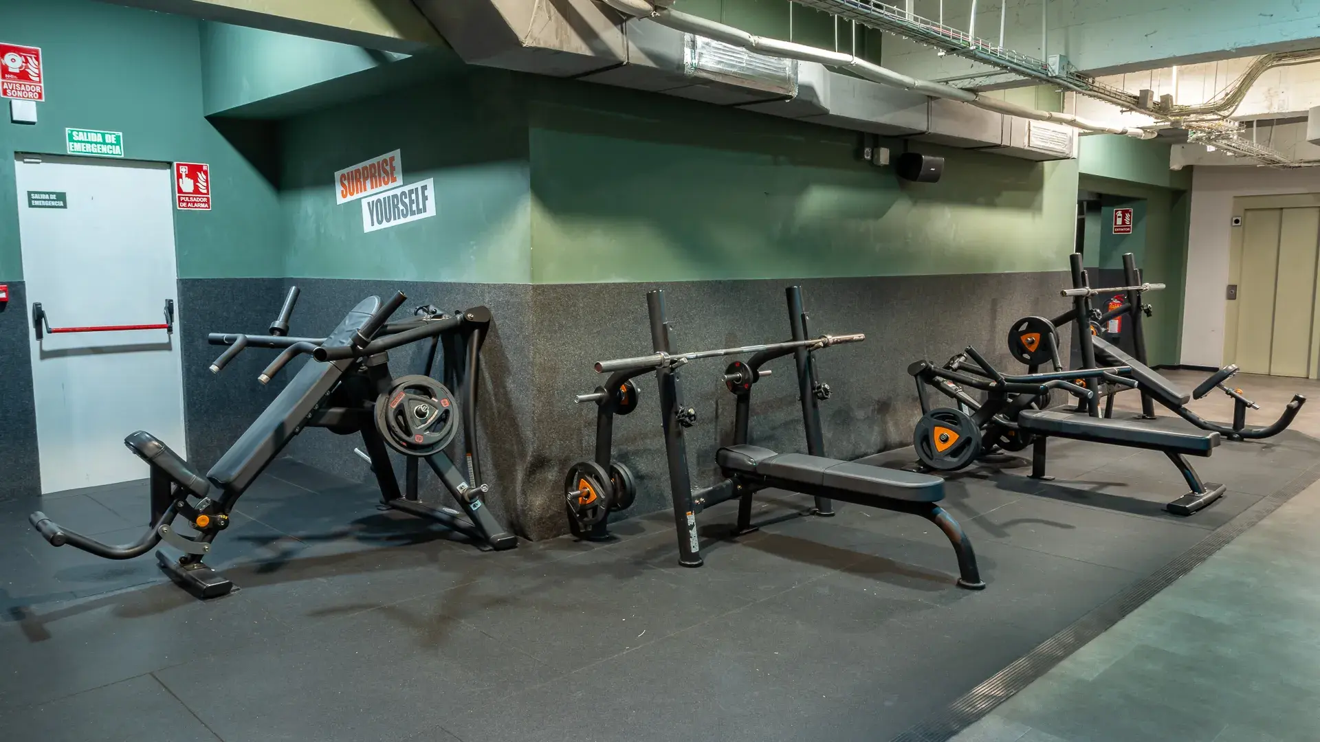 Galería de imágenes