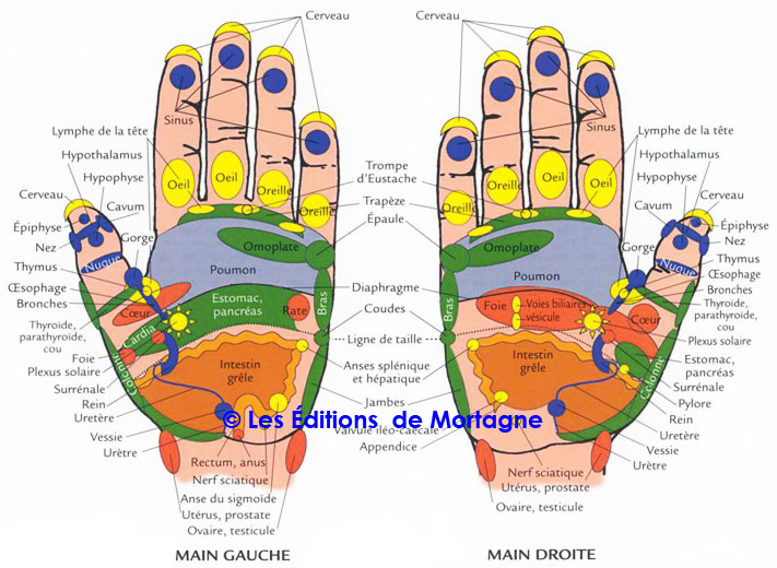 Images Réflexologie Sonia Aubut