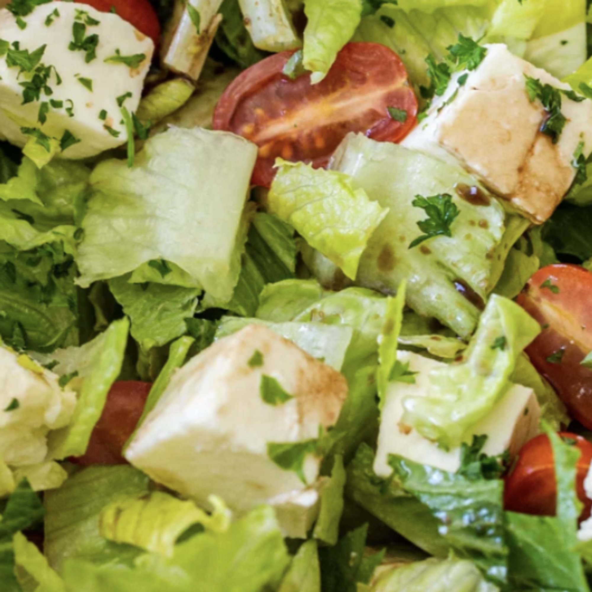 Tossed Garden Salad with Fresh Mozzarella