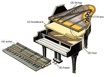 Burton  and  Wilson The Piano Craftsmen Photo