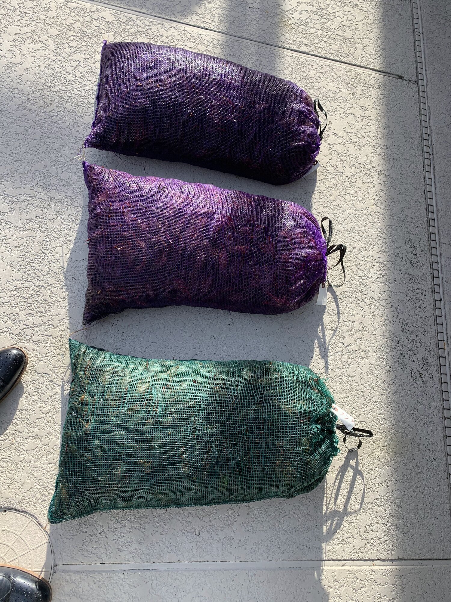 A Taste of New Orleans Image