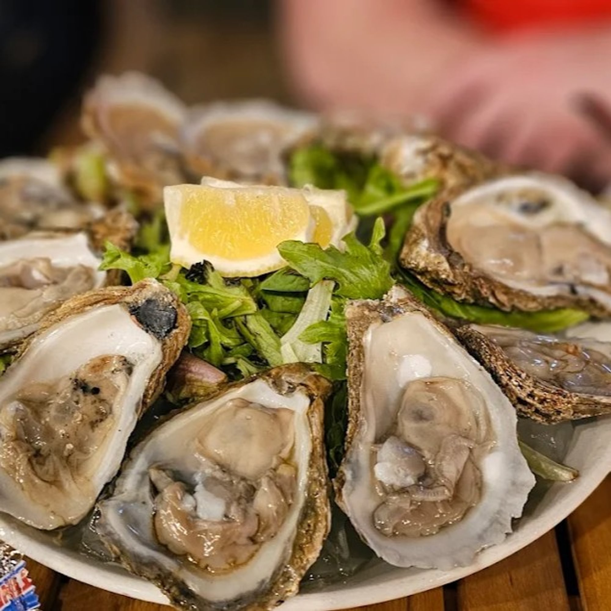 Seasonal, Fresh Premium Oysters