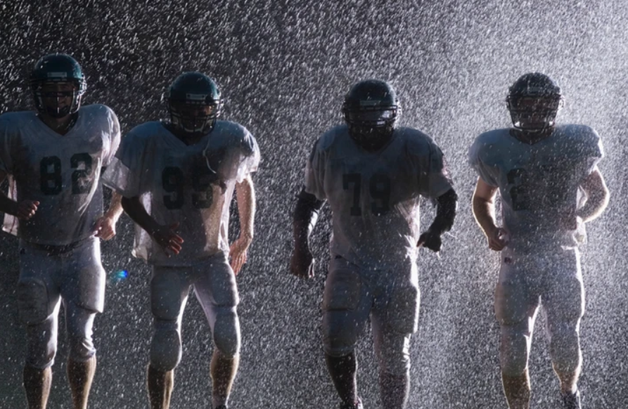 Hawque Protection Group Image