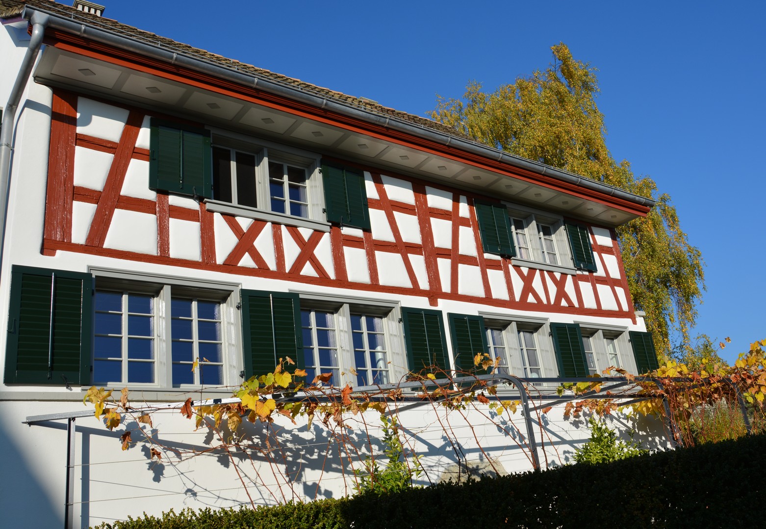 Galerie-Thumbnail