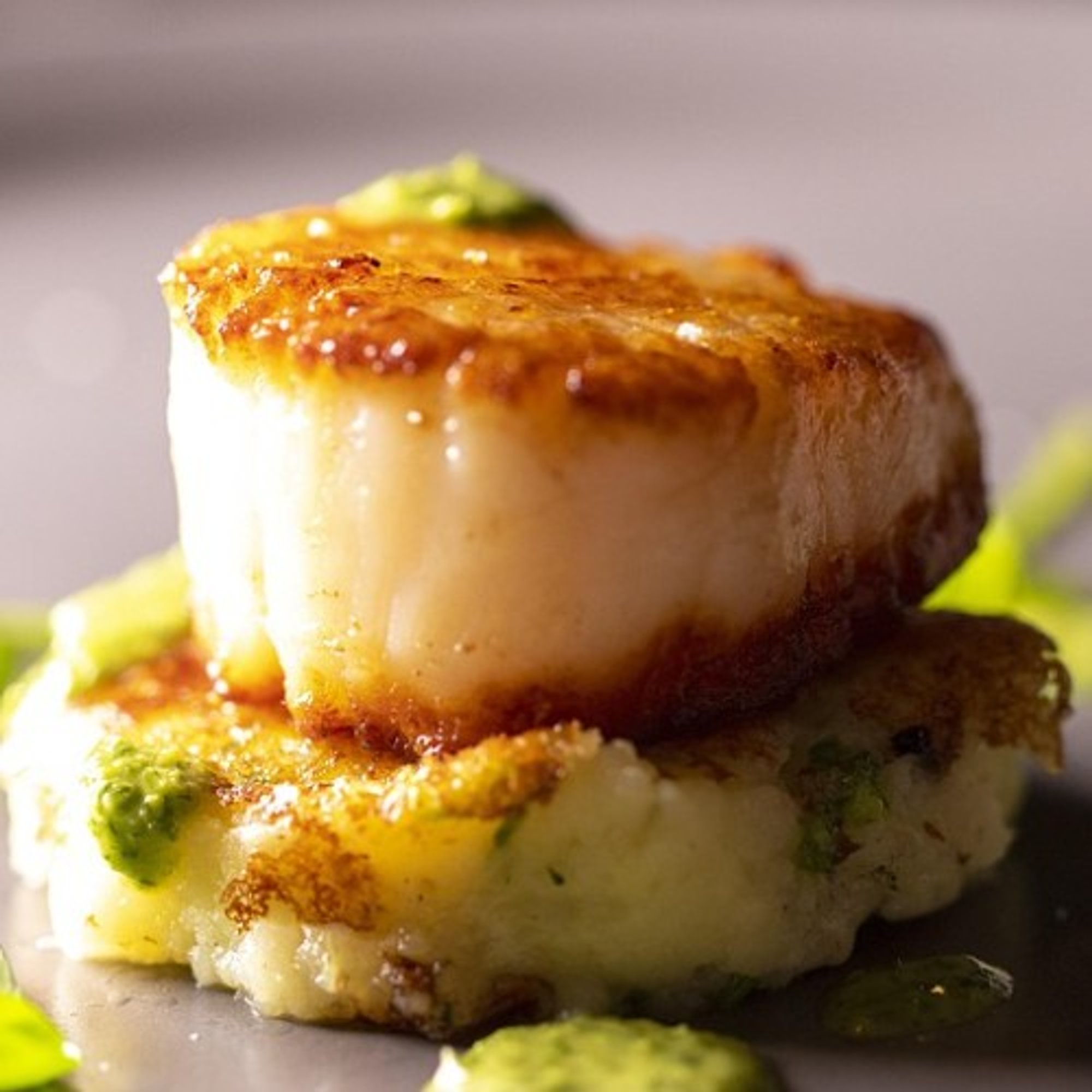 Extra Scallop