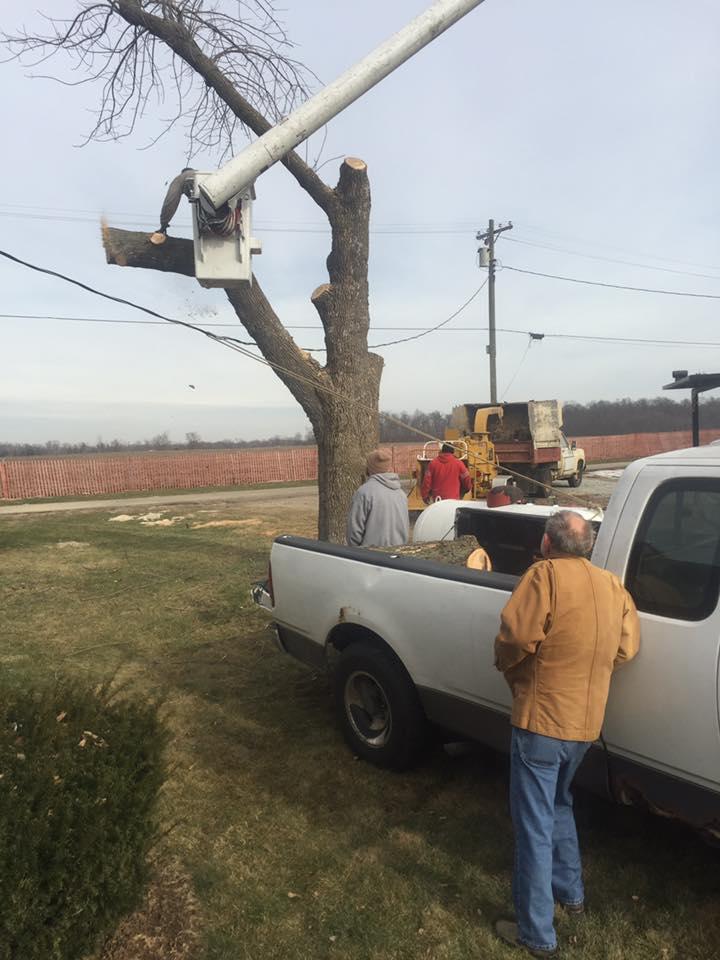 Hackney Tree Service Image