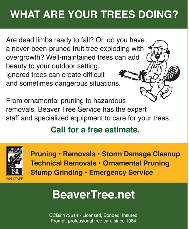 Images Beaver Tree Service Inc