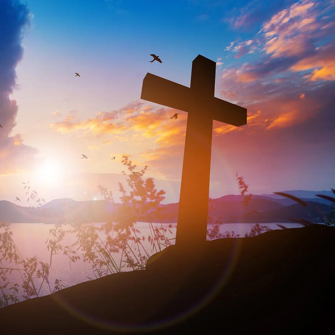 Catholic International University Image