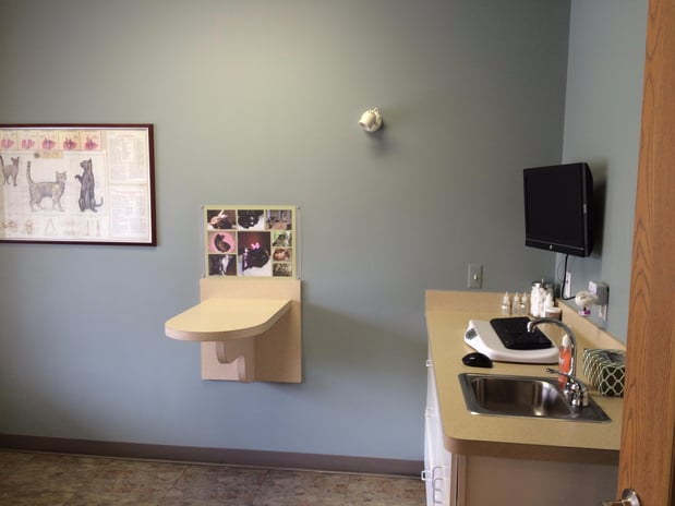 Images Cat Care PC of Rochester Hills