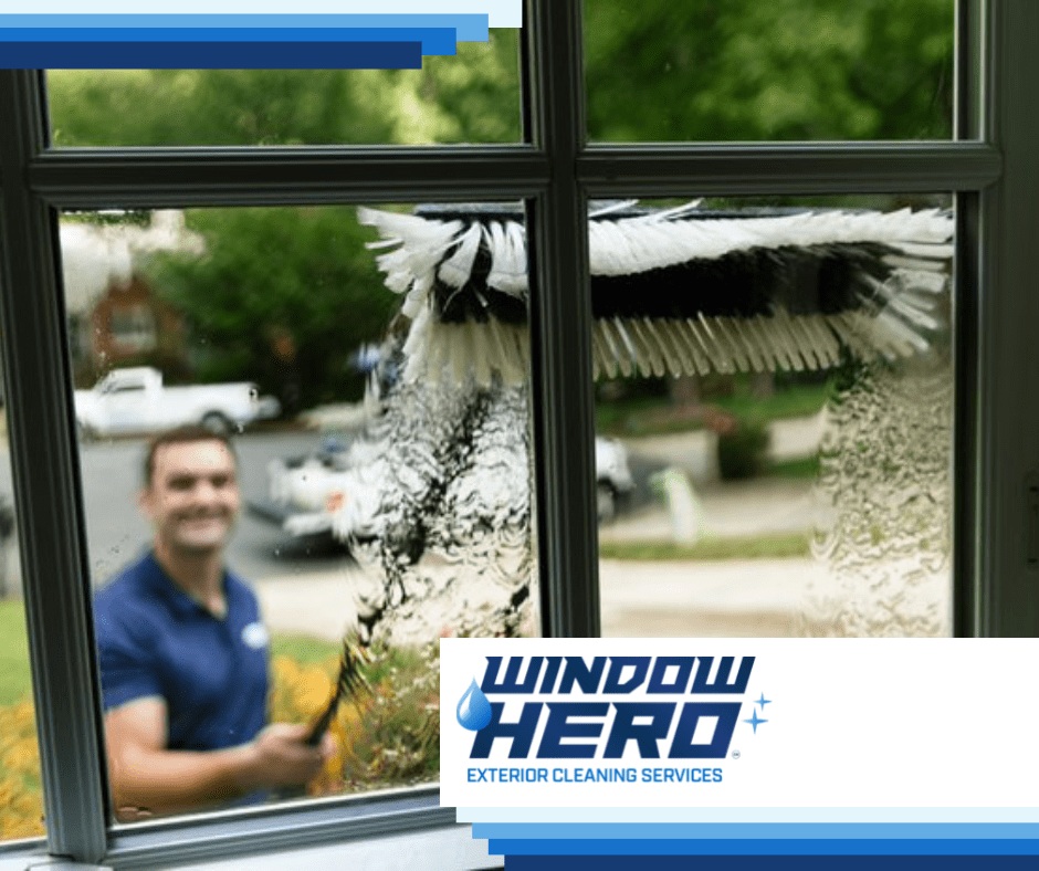 Window Hero Cary Image