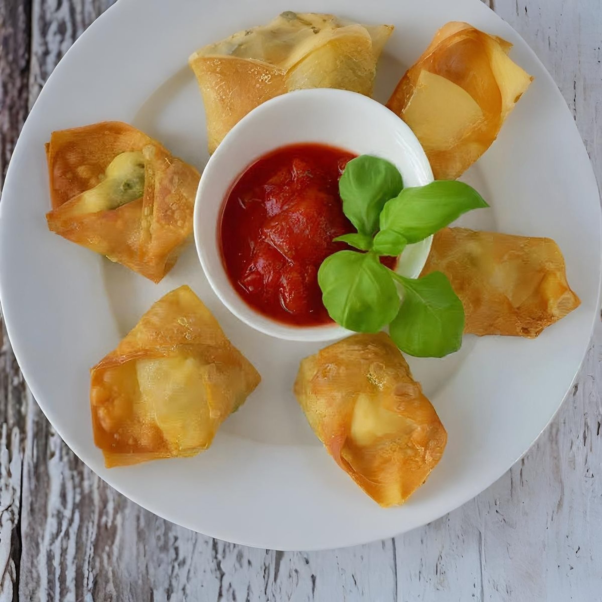 Chicken Fried Wontons