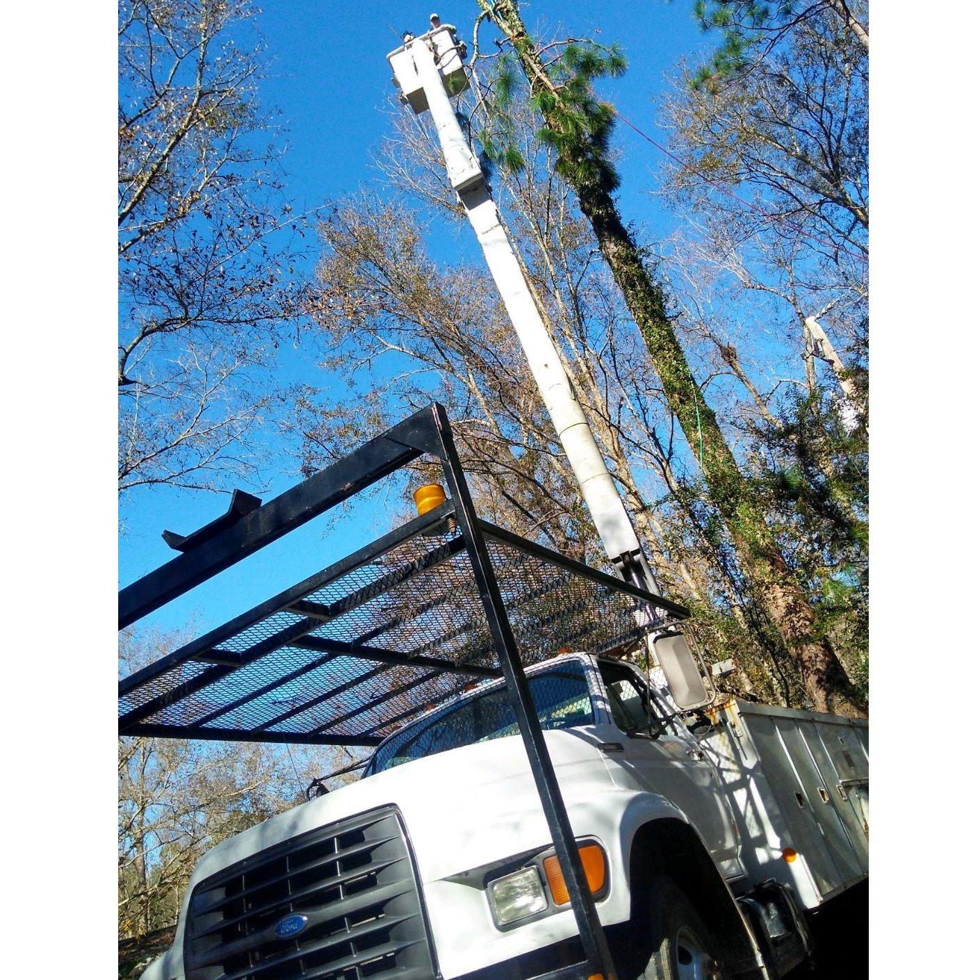 All Season Tree Service Logo