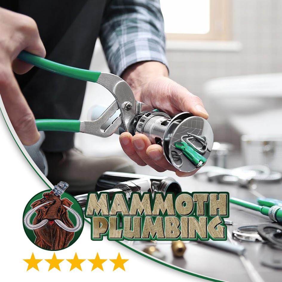 Mammoth Plumbing Services