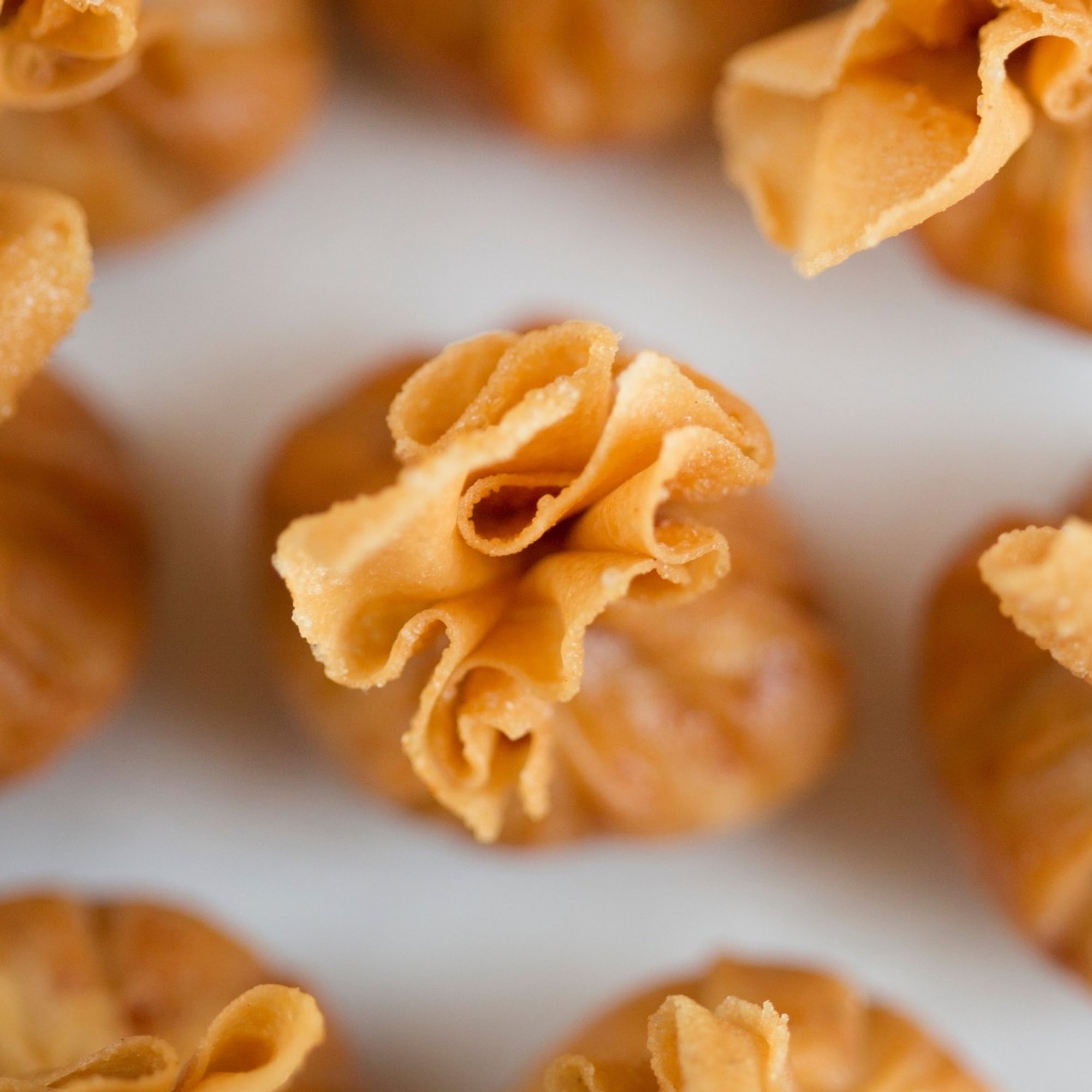 Fried Wontons