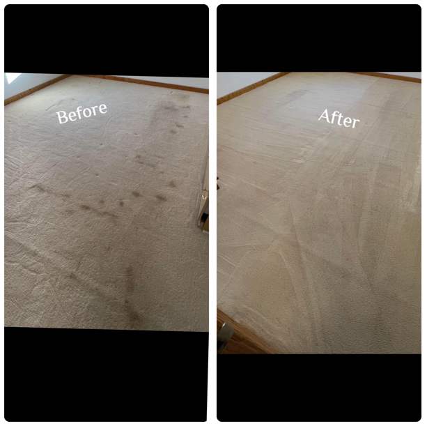 Fisher Carpet Care Image