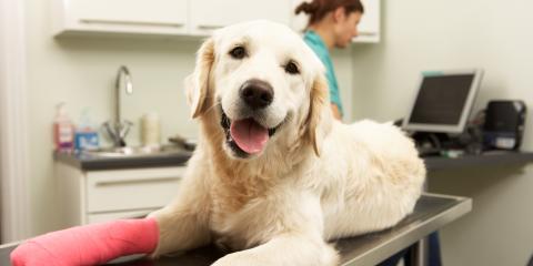 Vintage Park Veterinary Clinic Photo