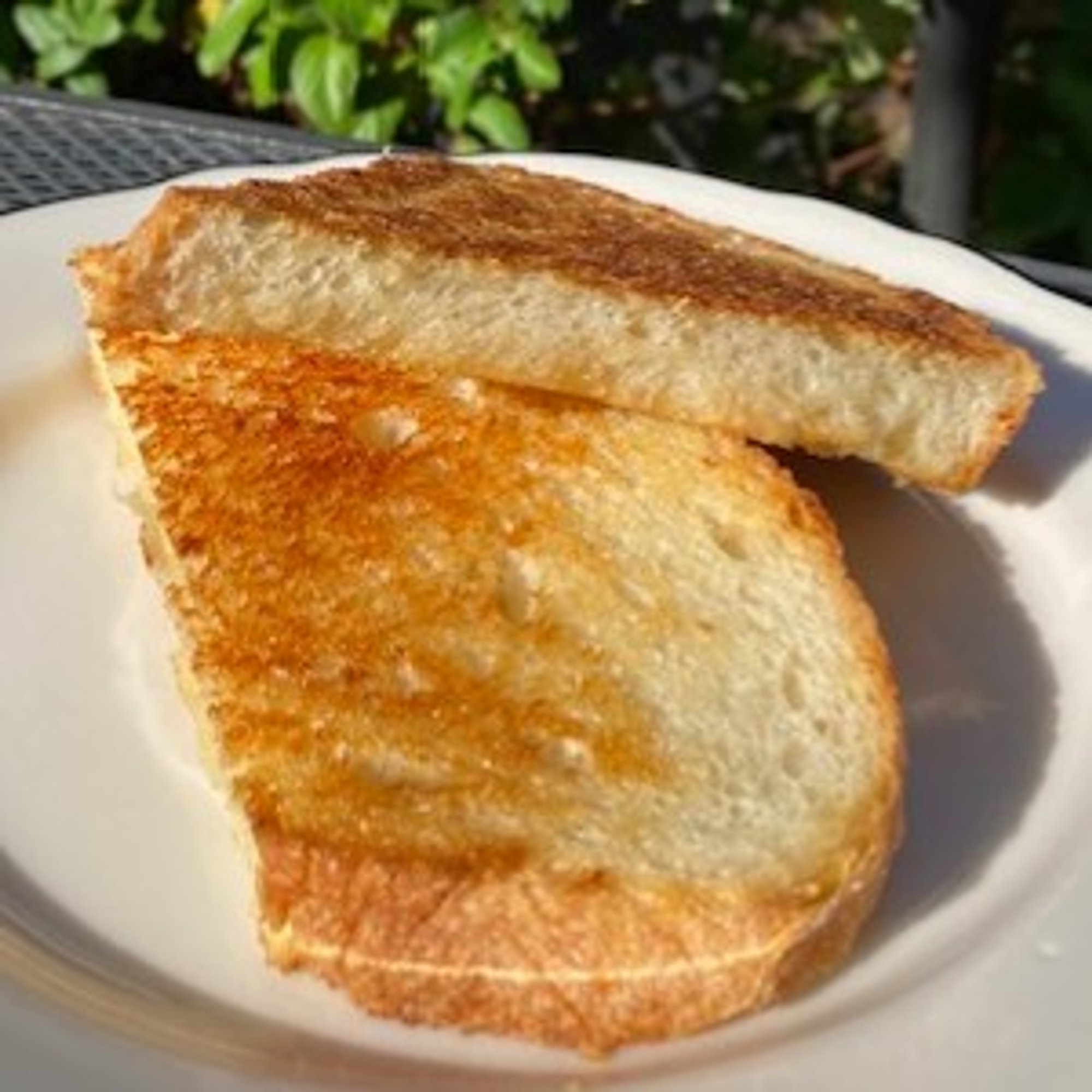 Toast Plain