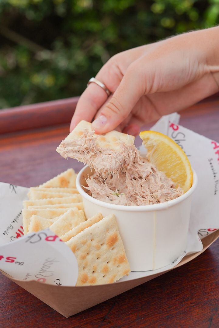 Smoked Tuna Dip