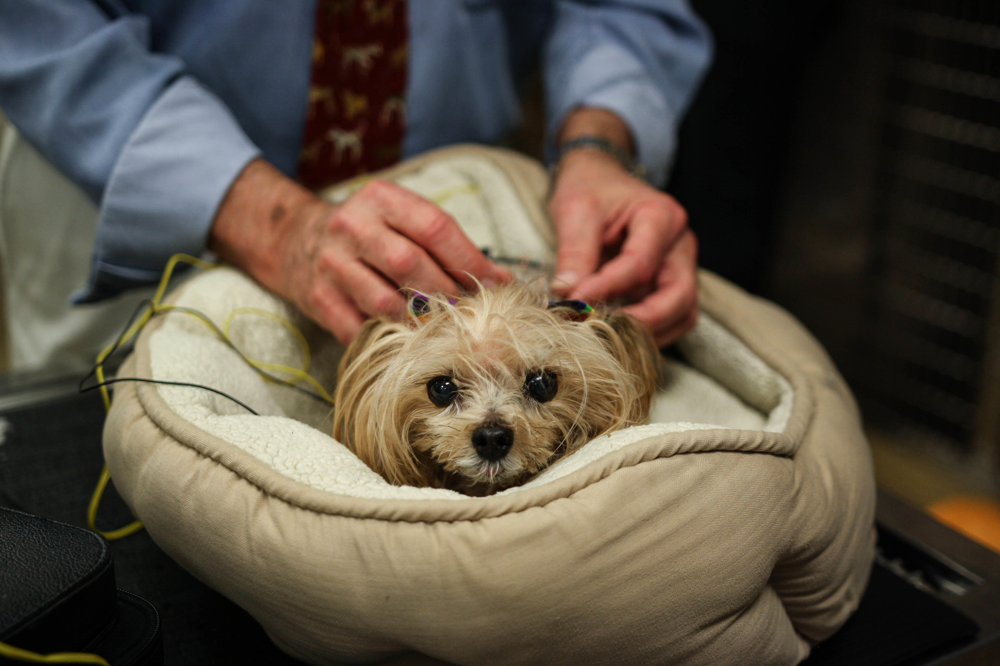 Calusa Veterinary Center Photo