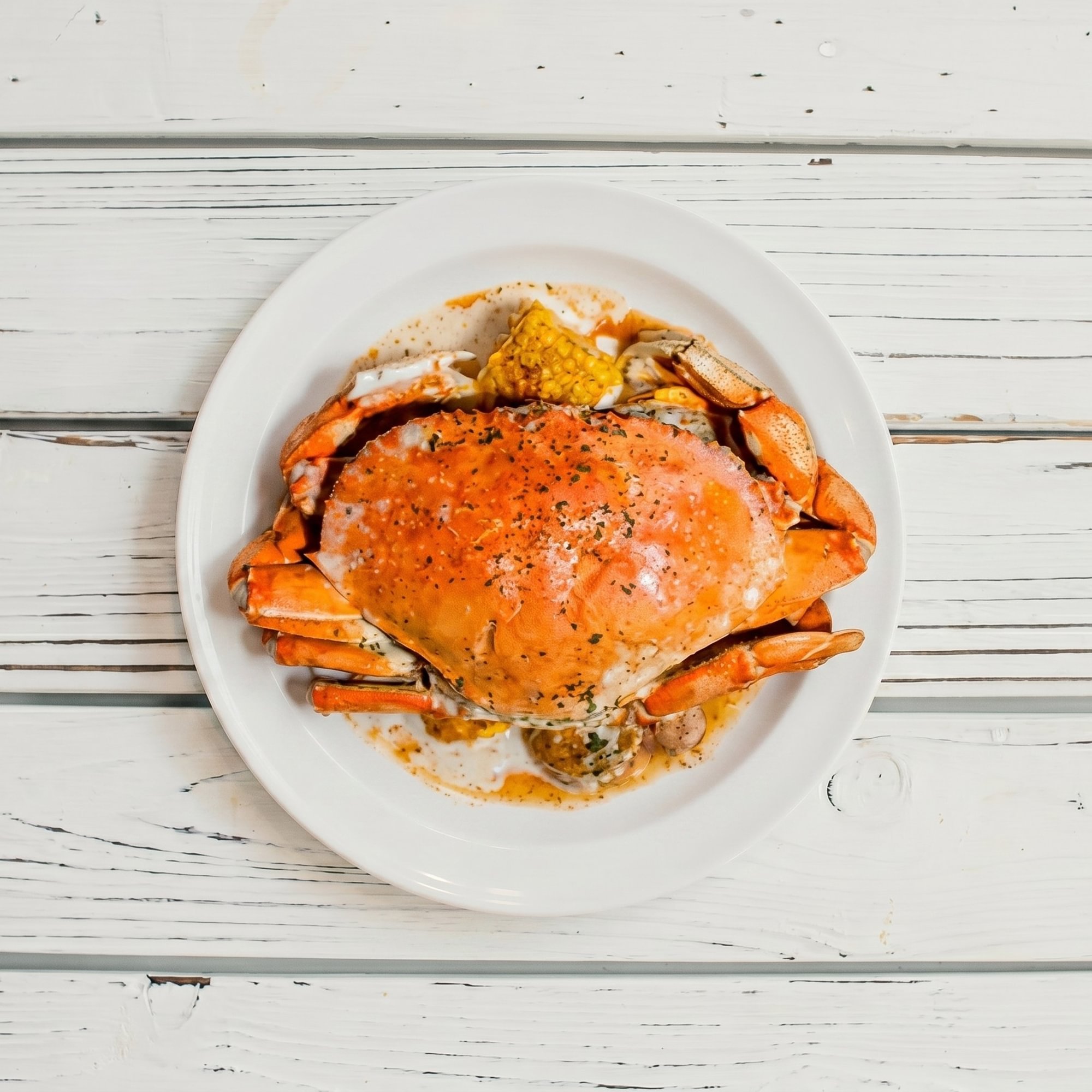 Dungeness Crab