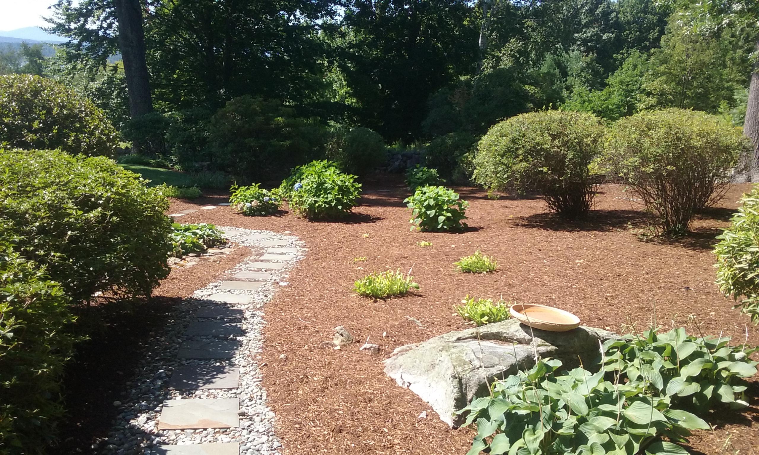 Botanical Landscape Management Photo