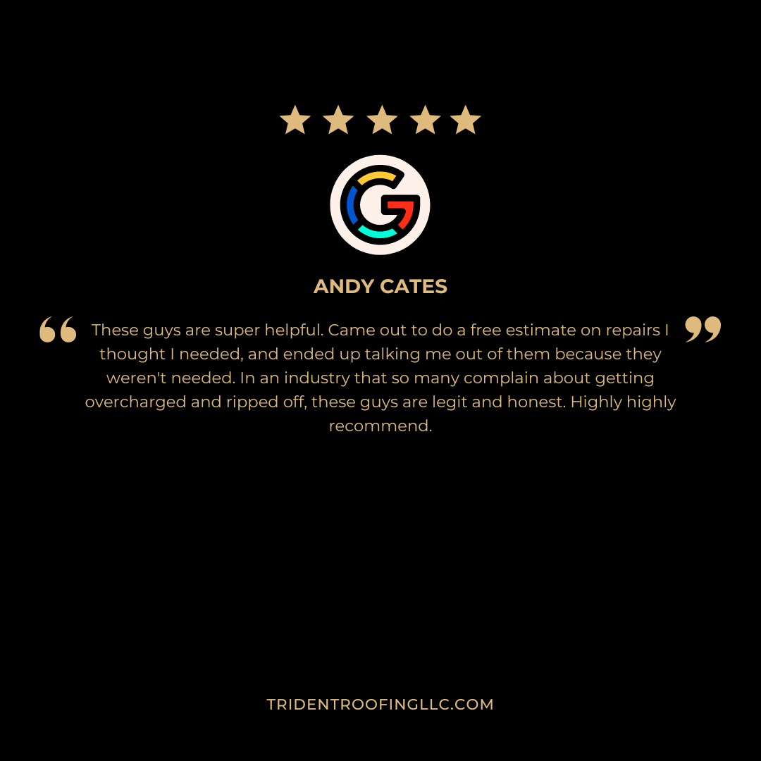 Trident Roofing Image