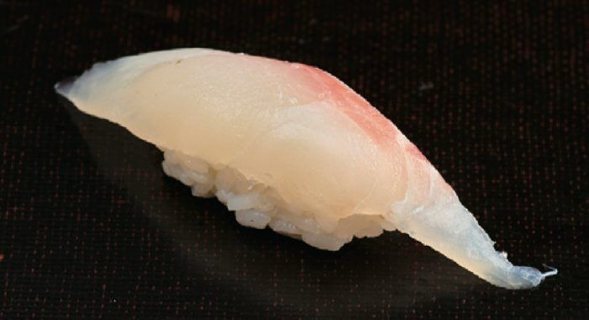 White Fish Sushi