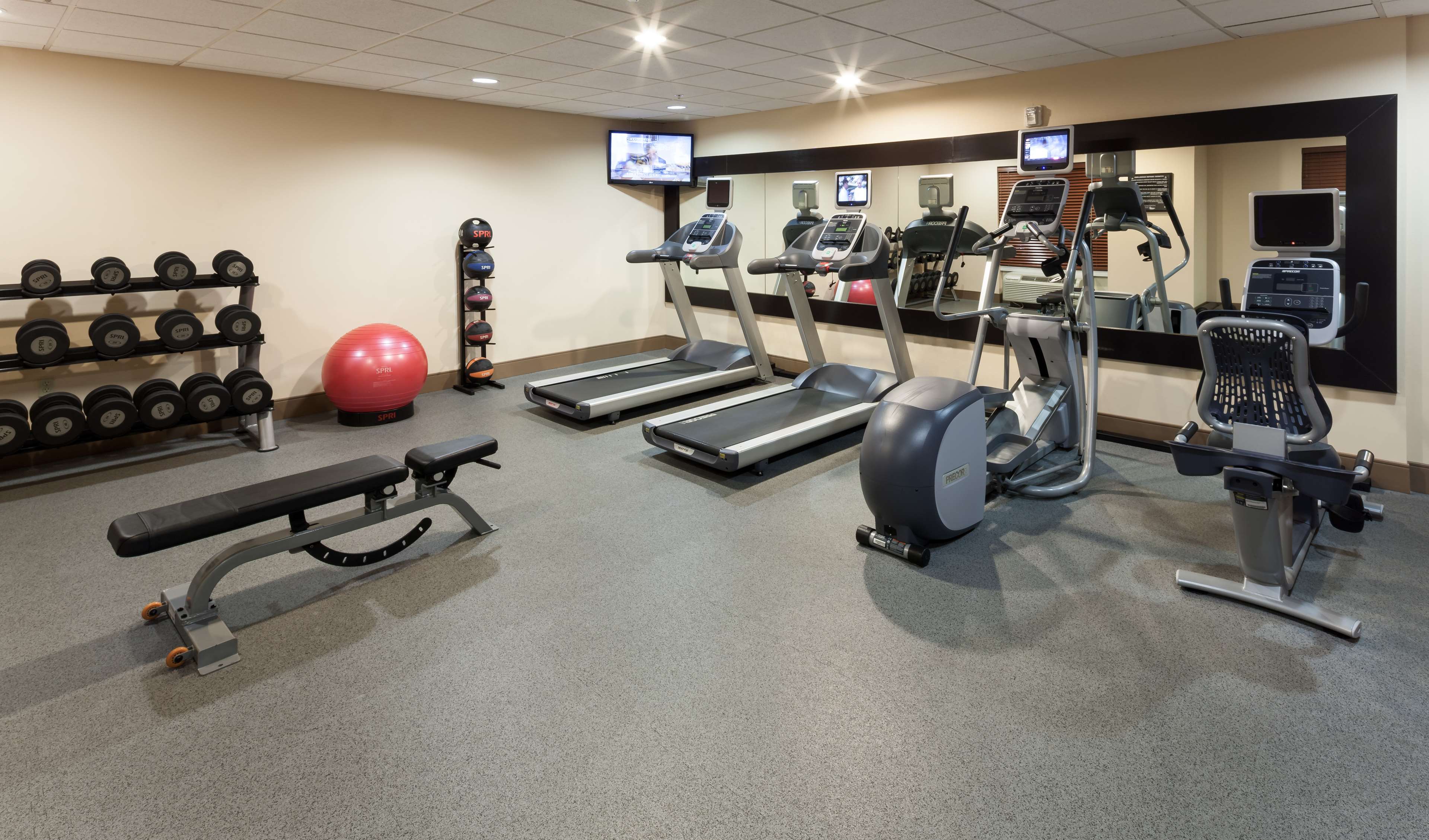 Health club  fitness center  gym