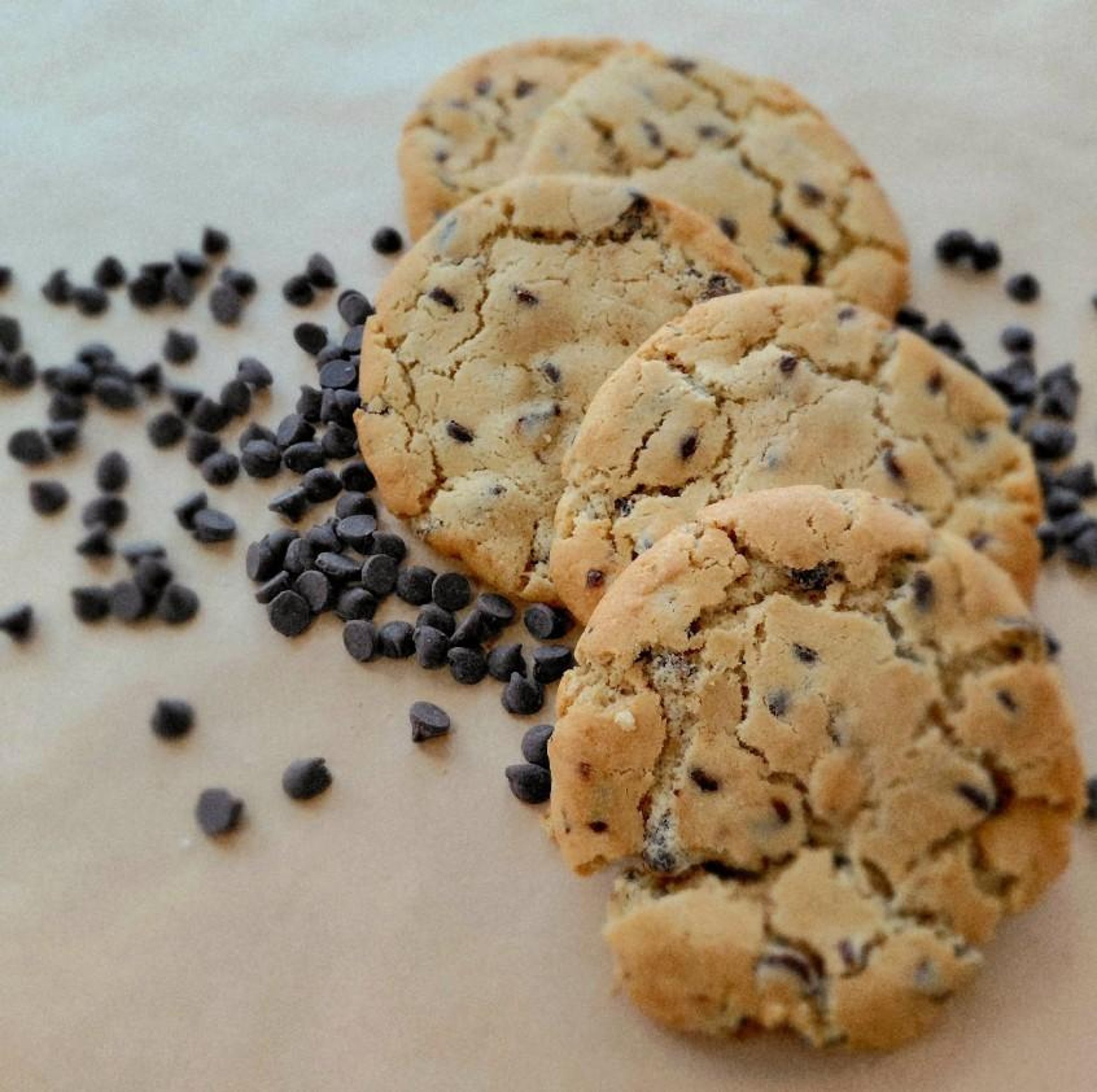 Chocolate Chip Cookie
