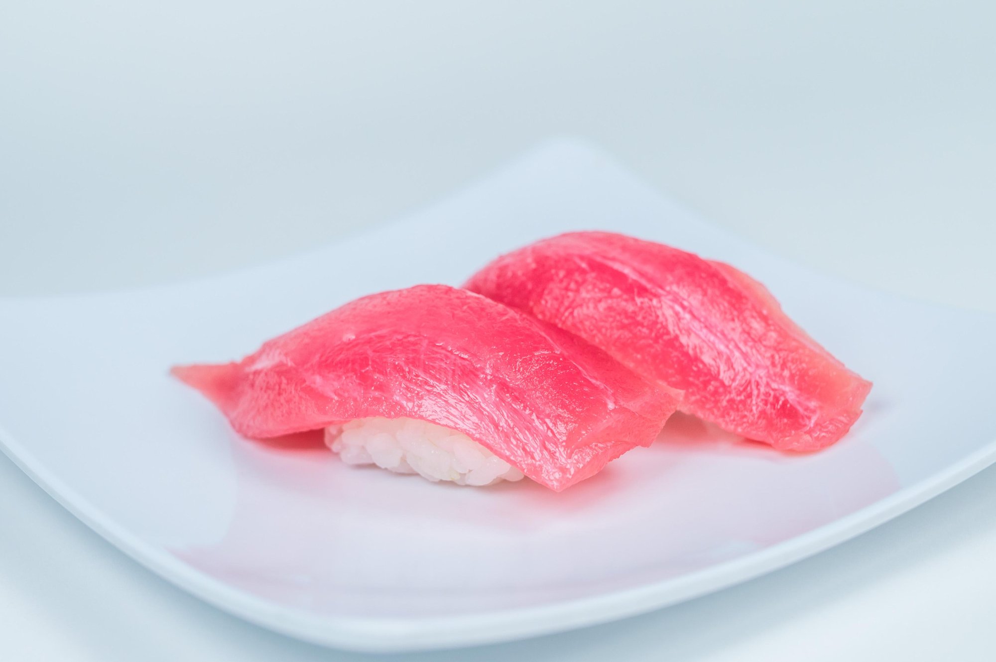 Maguro - Tuna