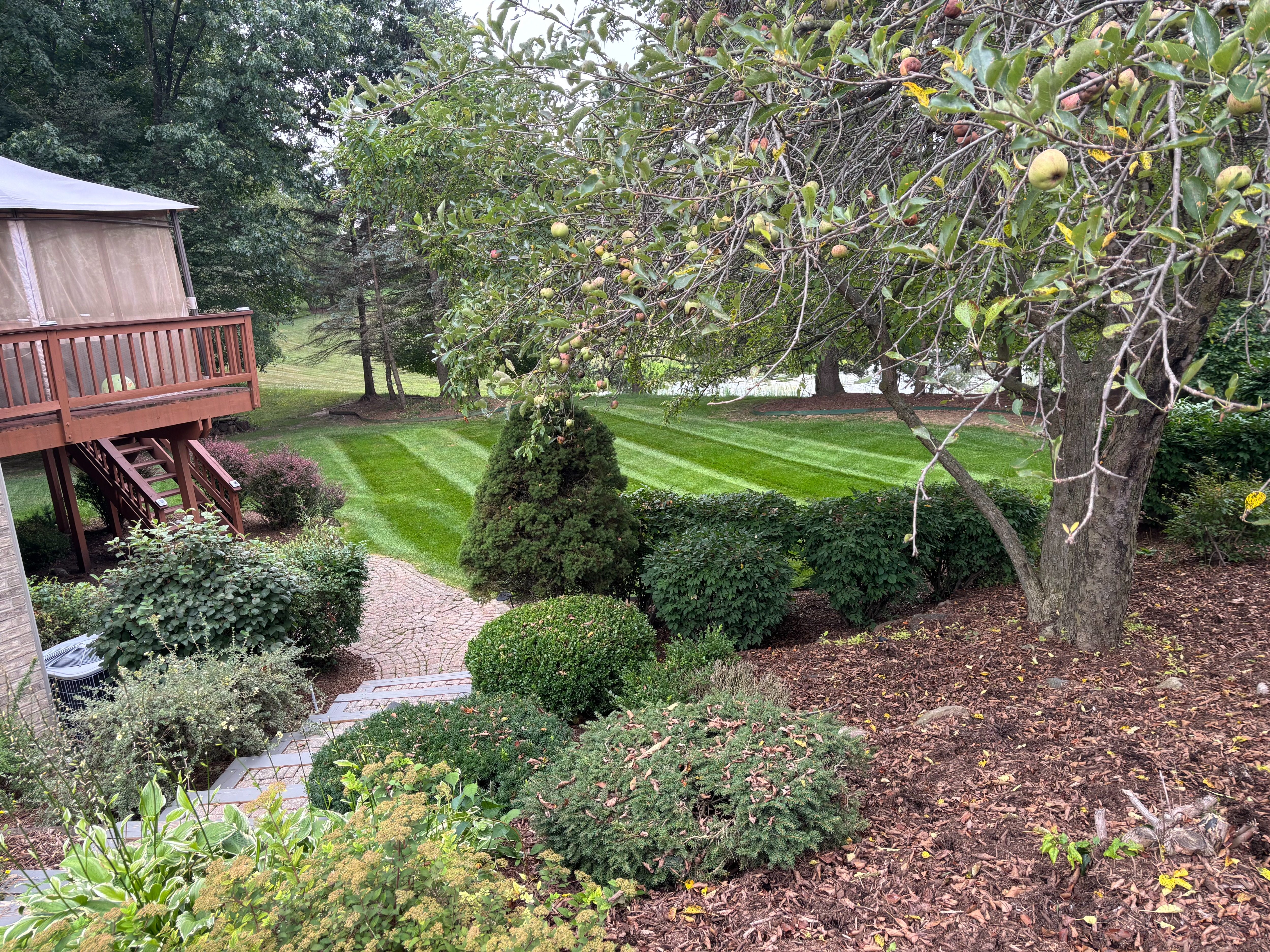 Premium Lawn Maintenance