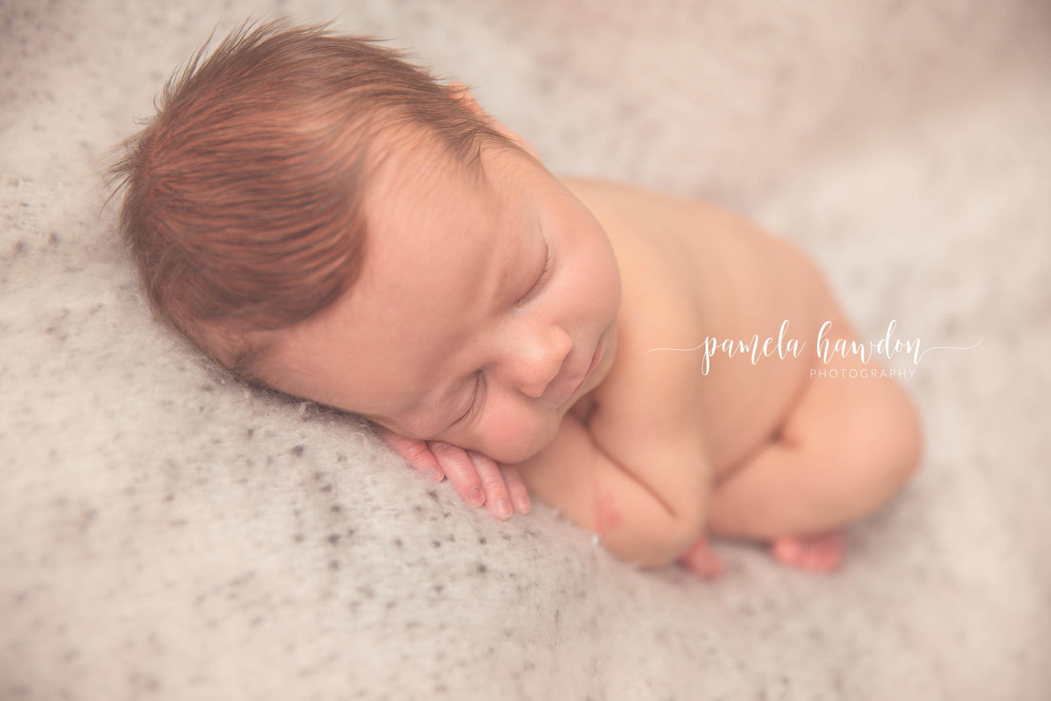 Images Pamela Hawdon Photography