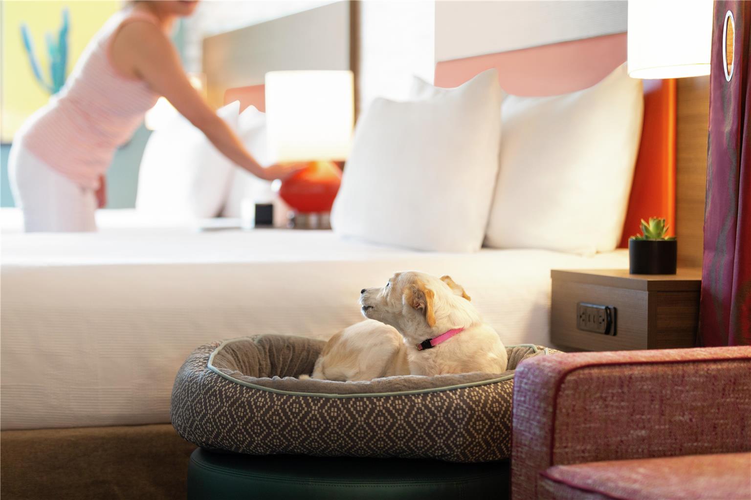 Home2 Suites by Hilton Mesa Longbow Image