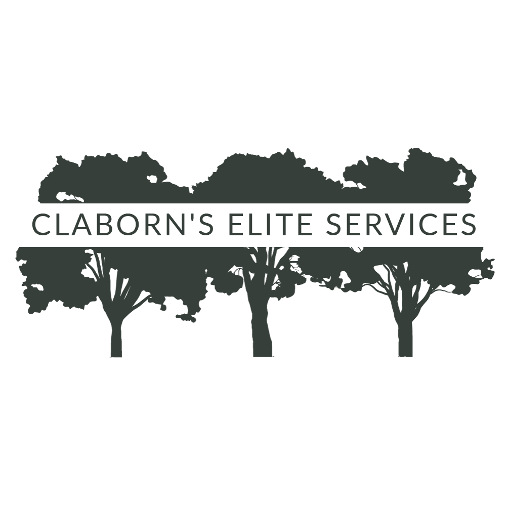 Claborn&apos;s Elite Services Logo