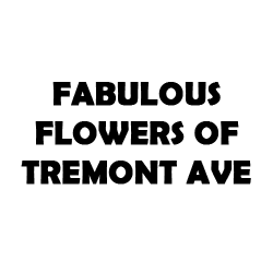 Fabulous Flowers of Tremont Ave Photo