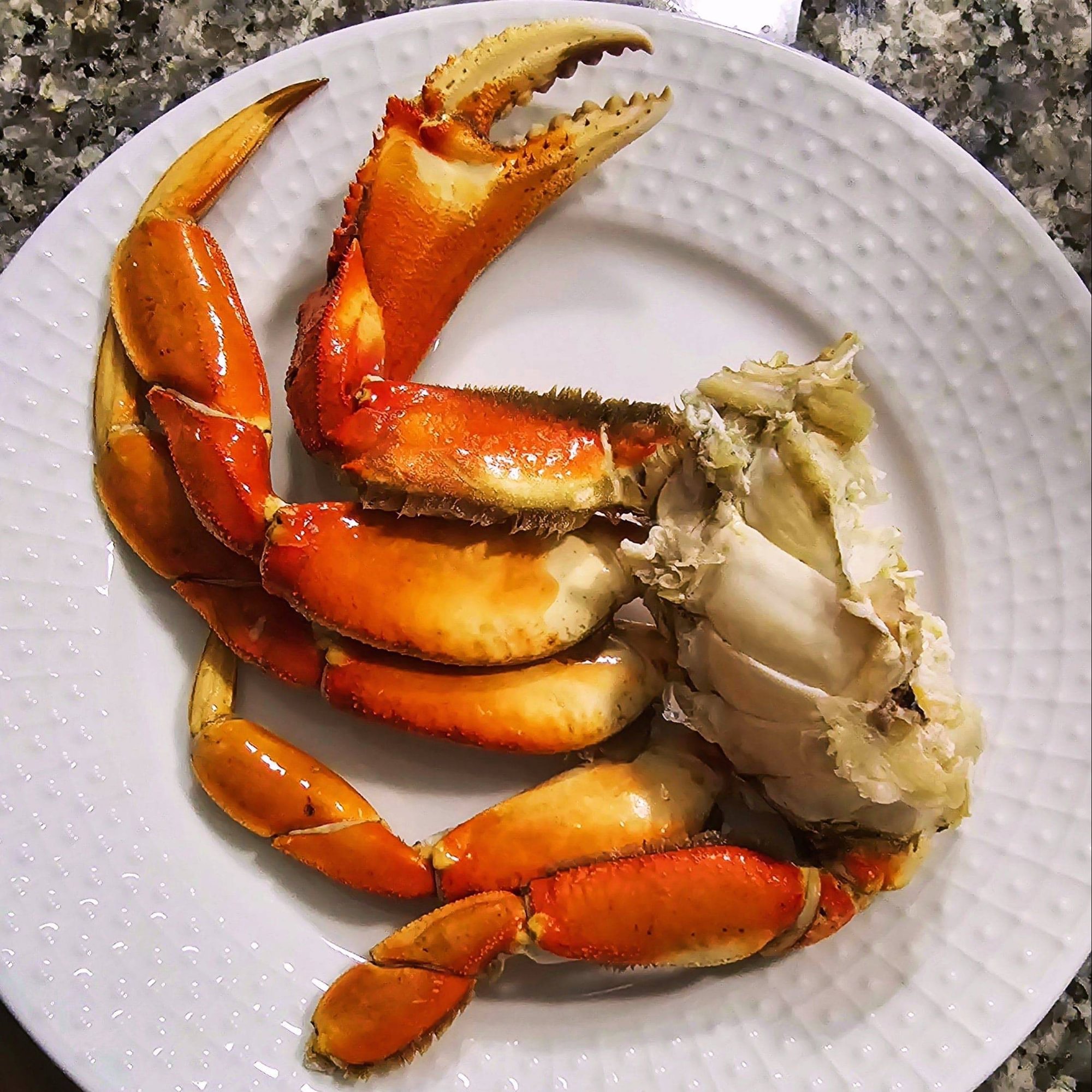 Dungeness Crab