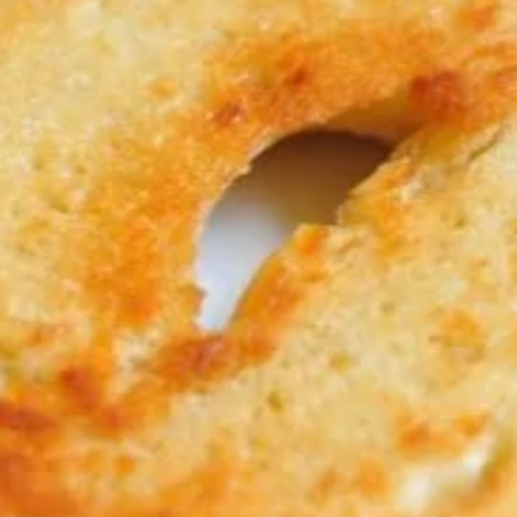 BAGEL WITH BUTTER