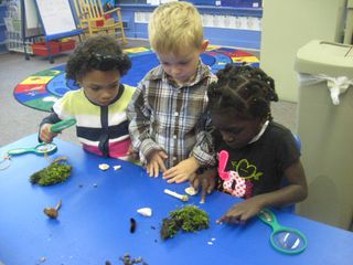4 Fun Science Activities From Rochester's Premier Childcare Center