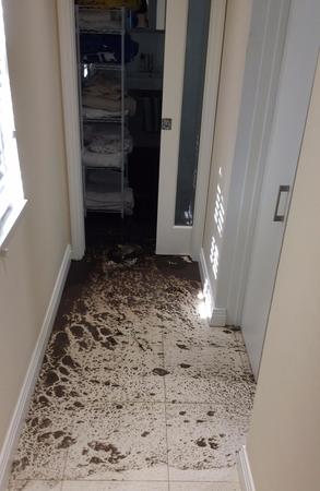 Images SERVPRO of Miami Beach